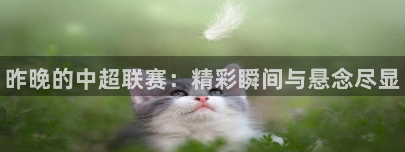  昨晚的中超联赛：精彩瞬间与悬念尽显