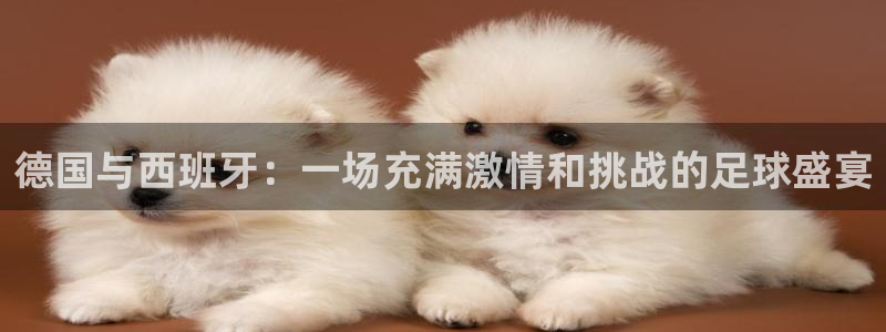 德国与西班牙：一场充满激情和挑战的足球盛宴