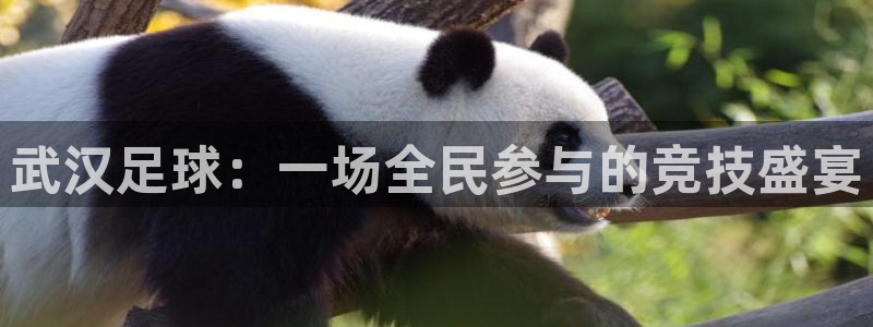  武汉足球：一场全民参与的竞技盛宴