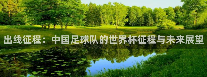  出线征程：中国足球队的世界杯征程与未来展望