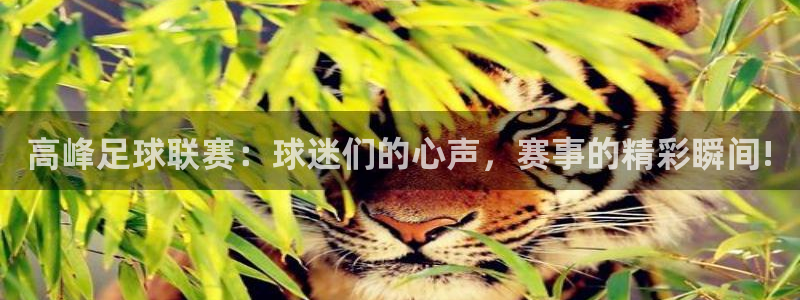 高峰足球联赛：球迷们的心声，赛事的精彩瞬间!