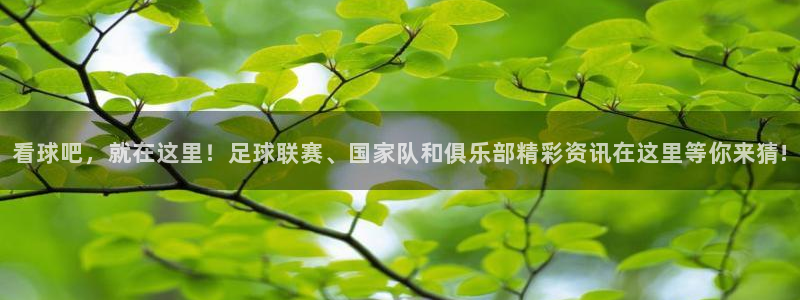  看球吧，就在这里！足球联赛、国家队和俱乐部精彩资讯在这里等你