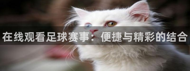  在线观看足球赛事：便捷与精彩的结合