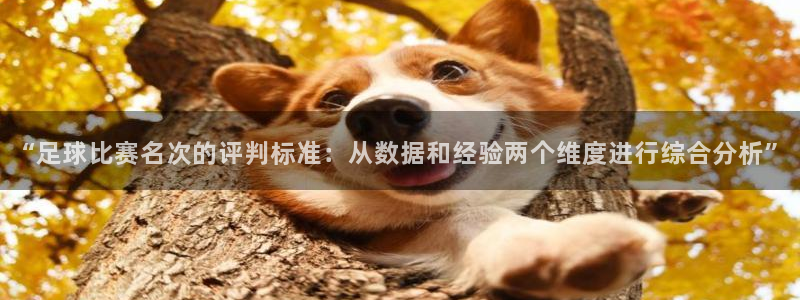 “足球比赛名次的评判标准：从数据和经验两个维度进行综合分析”
