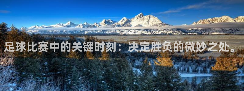 足球比赛中的关键时刻：决定胜负的微妙之处。