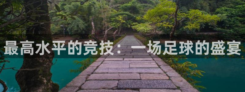 最高水平的竞技：一场足球的盛宴