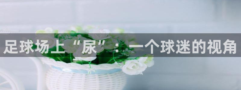 足球场上“尿”：一个球迷的视角