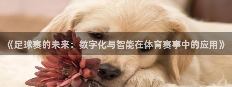 《足球赛的未来：数字化与智能在体育赛事中的应用》