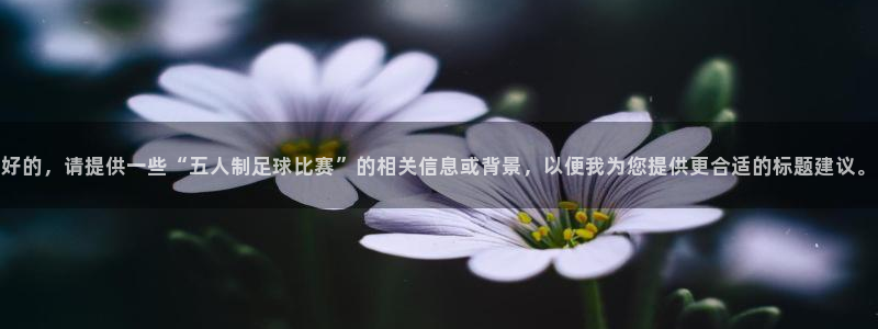 好的，请提供一些“五人制足球比赛”的相关信息或背景，以便我为