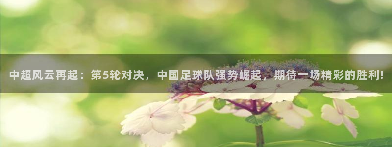  中超风云再起：第5轮对决，中国足球队强势崛起，期待一场精彩的