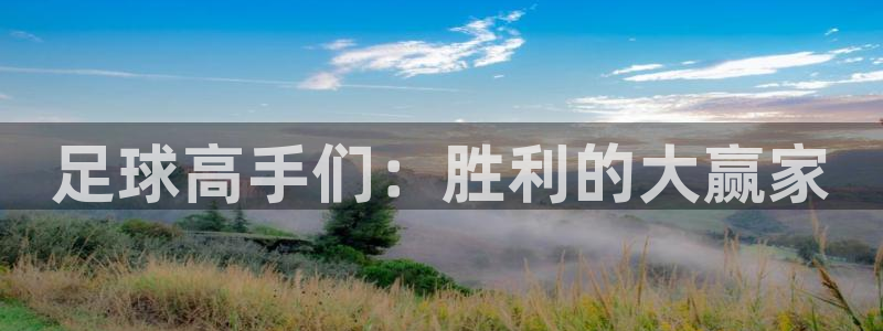 足球高手们：胜利的大赢家