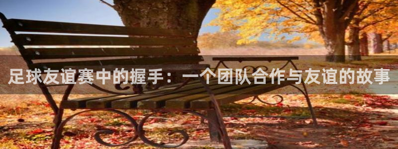 足球友谊赛中的握手：一个团队合作与友