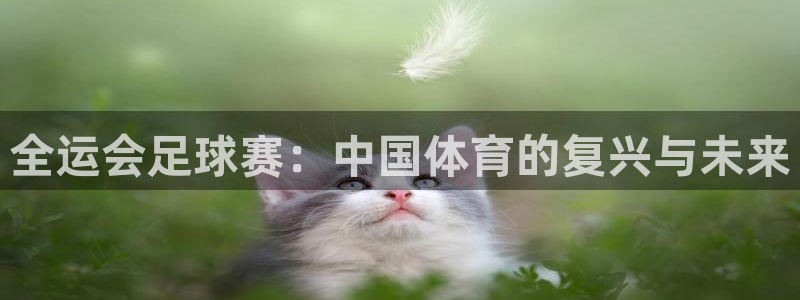 全运会足球赛：中国体育的复兴与未来
