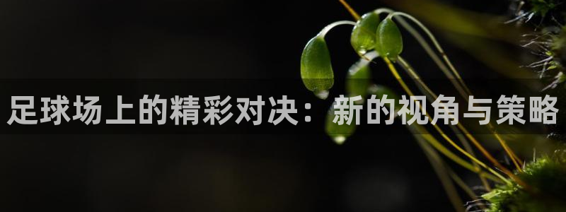 足球场上的精彩对决：新的视角与策略