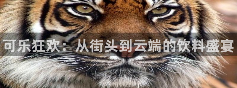 球友直播官网：可乐狂欢：从街头到云端的饮料盛宴